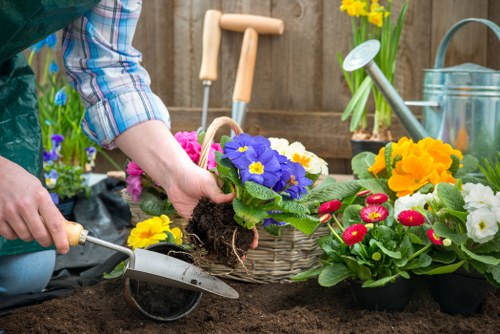 Pruned shrubs and plants in a Walthamstow garden